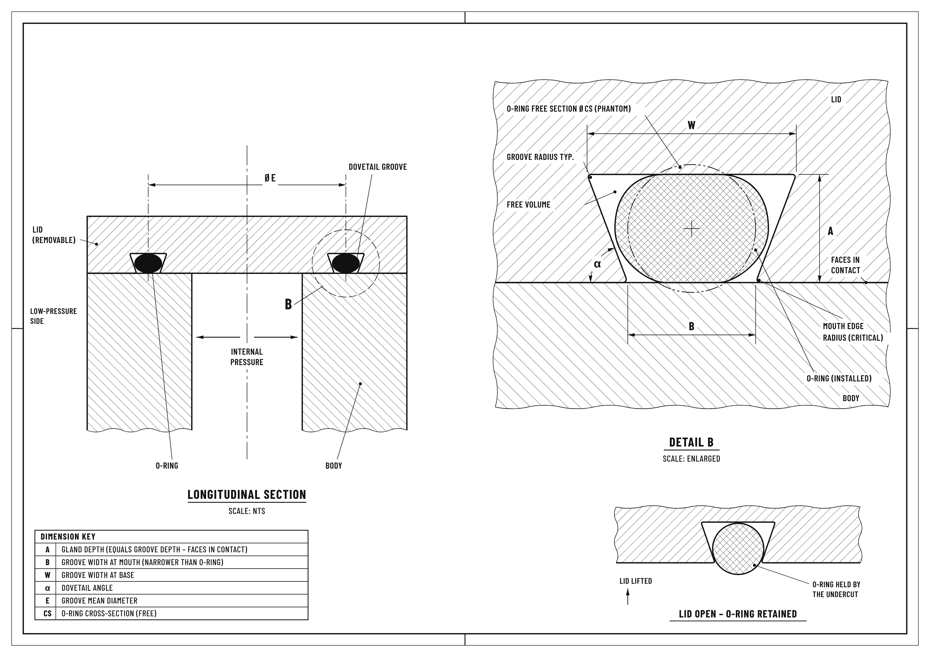 dovetail gland